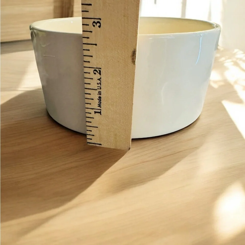 New Rae Dunn Dog Pet Bowl 